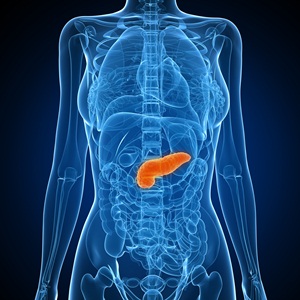 what is the purposes of a pancreas