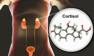 Comment faire baisser le cortisol