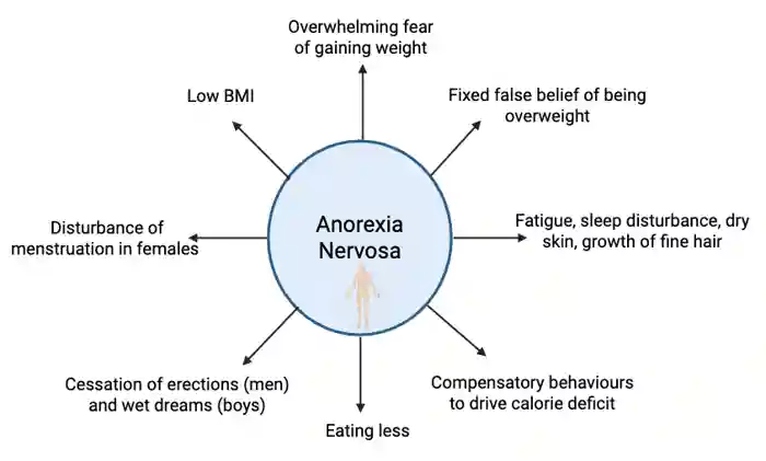 Figure 2.1 – Signs and symptoms of <a  tabindex='0' class='popover-dismiss' href='/endocrine-conditions/eating-disorders-ks4-article/' data-target-type='infoSheet' data-target-url='/endocrine-conditions/eating-disorders-ks4-article/' data-bs-toggle='popover' data-bs-trigger='focus' title='anorexia nervosa' data-bs-content='1331' >anorexia nervosa</a>.  Image created using Biorender.