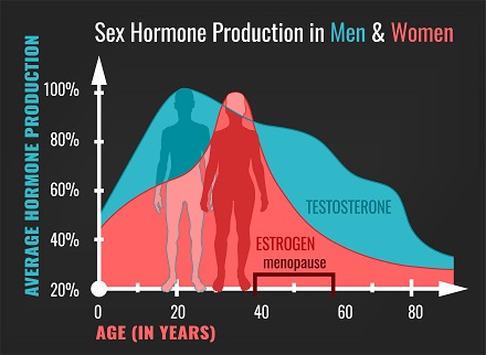 Menopause vs. manopause – are they equivalent?  You and Your Hormones from  the Society for Endocrinology