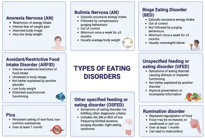 Figure 1 – Main types of eating disorders. Image created using Biorender.